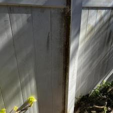 Fence cleaning